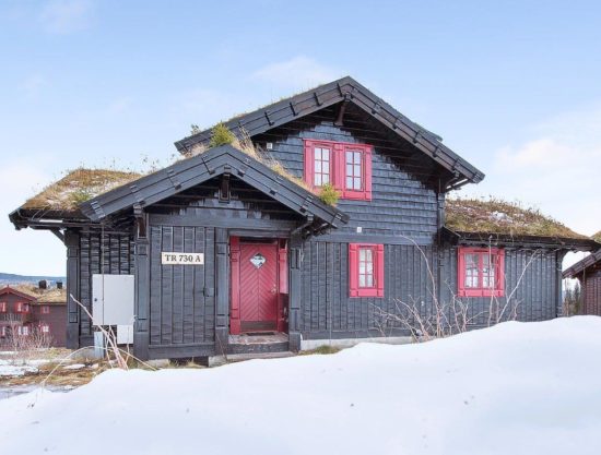 outside, cabin to rent in Trysil, Storsten 730