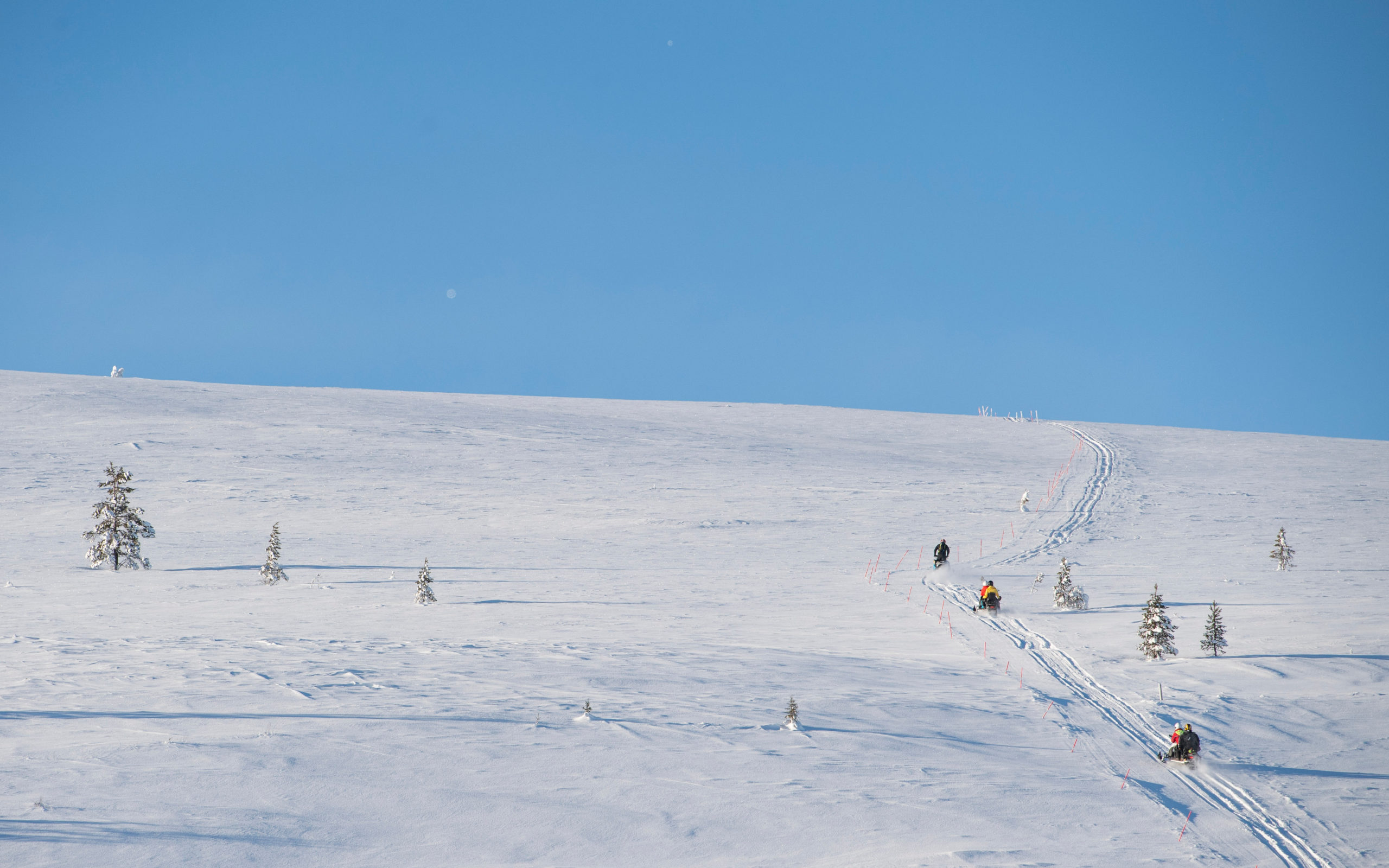 Bilde av flere på snøscootertur i Engerdal/Trysil, arrangert av bookTrysilonline