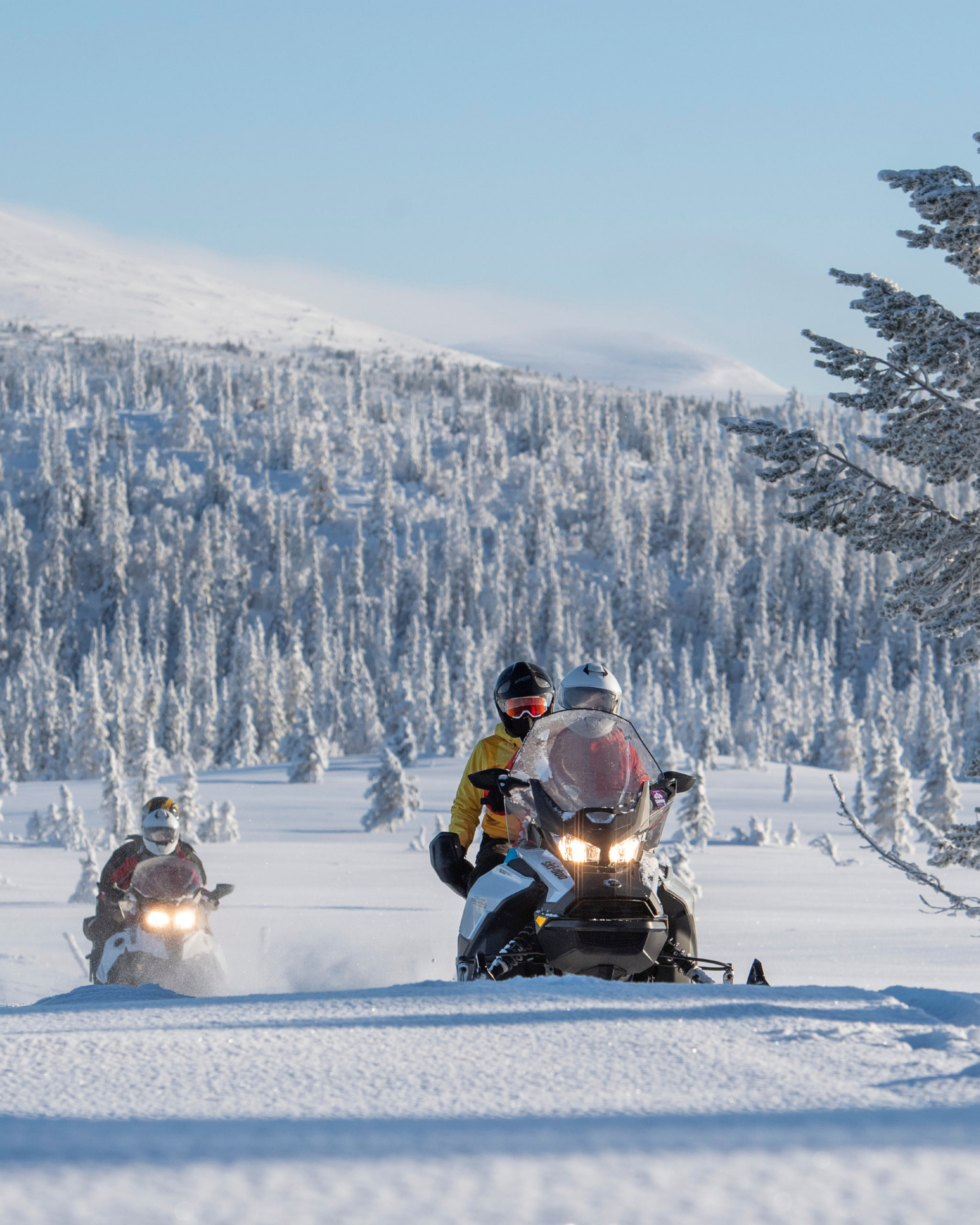 Multiple people on a snowmobile tour in Engerdal/Trysil, bookTrysilonline.