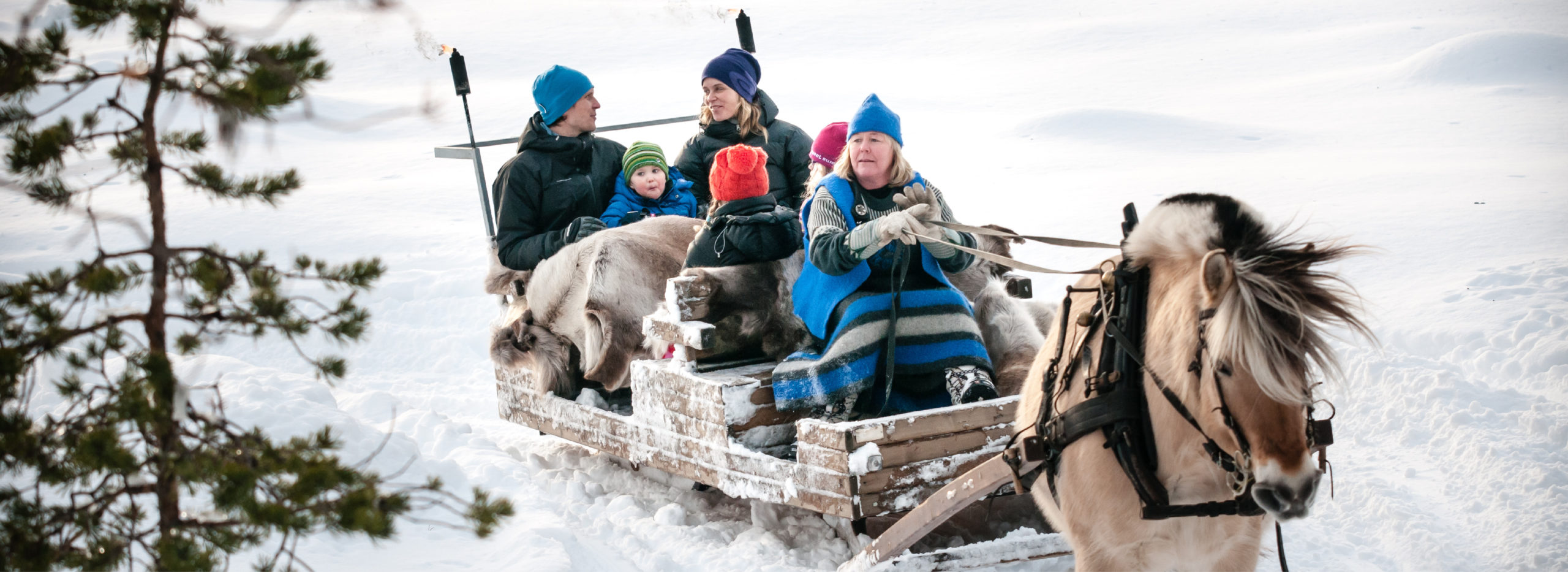 family on Horse-drawn sleigh ride in Trysil